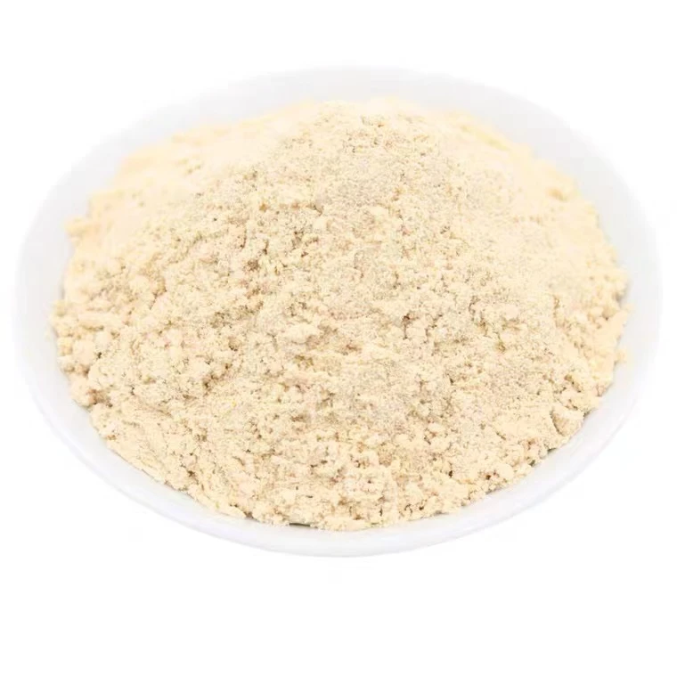 Freeze Dried Lemon powder Freeze Dried Lemon powder