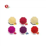 Dried Berry Powder