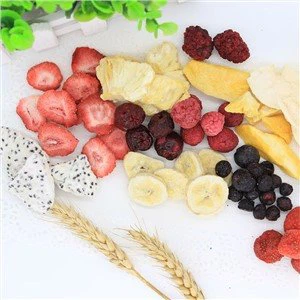 Freeze Dried Fruit Crisps