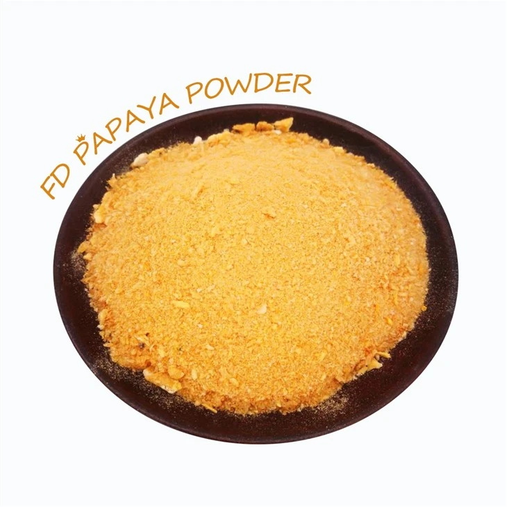 Dry Fruit Mix Powder